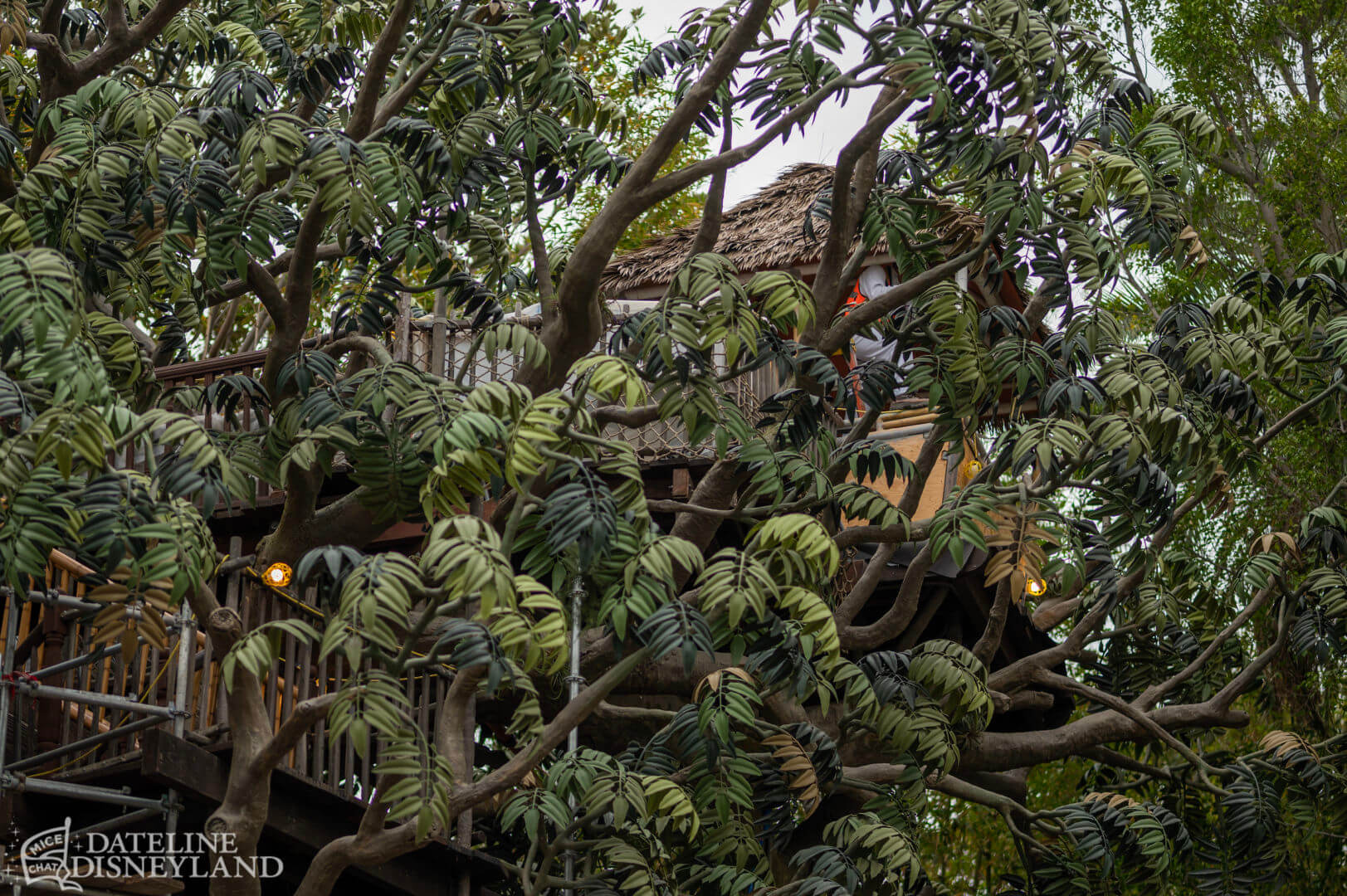 , Disneyland Update: Toot-Toot, Groot, Splish & Splash!