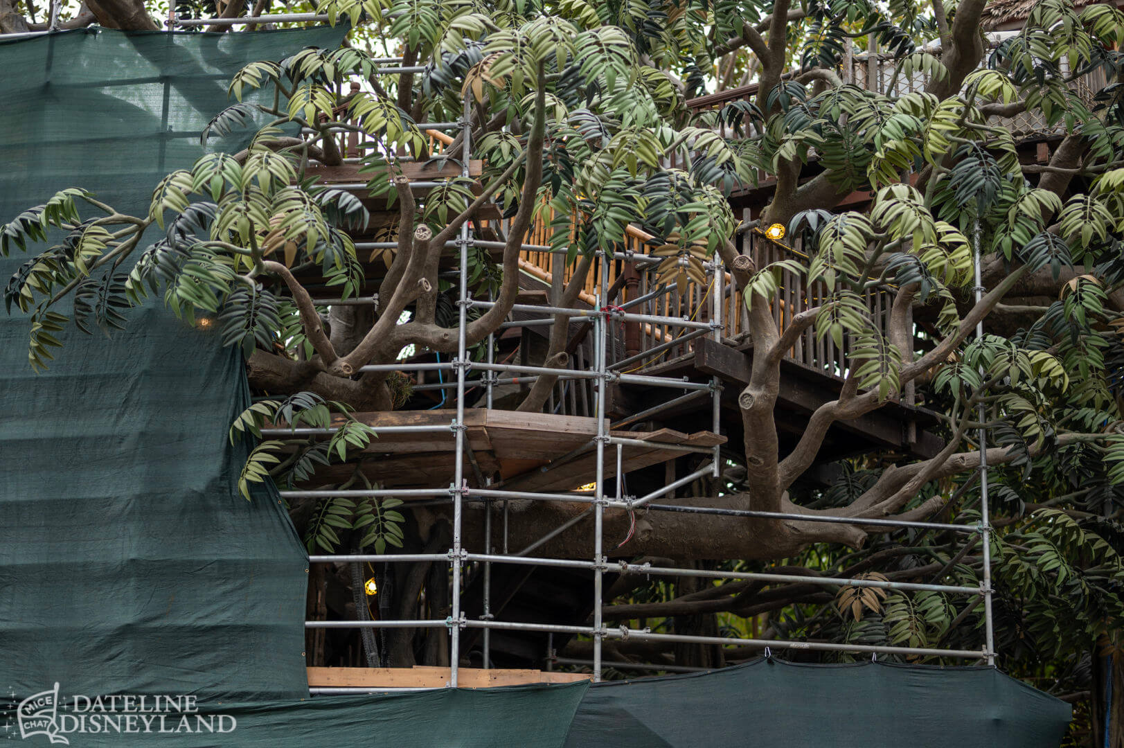 , Disneyland Update: Toot-Toot, Groot, Splish & Splash!