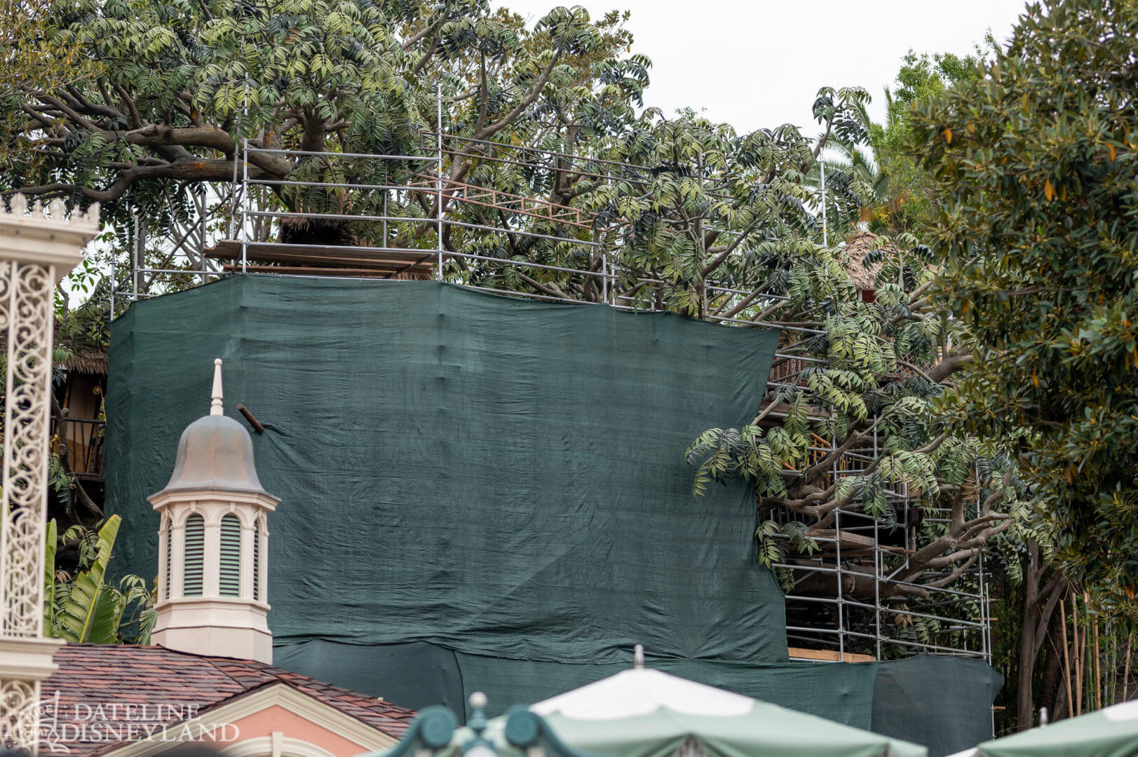, Disneyland Update: Toot-Toot, Groot, Splish & Splash!