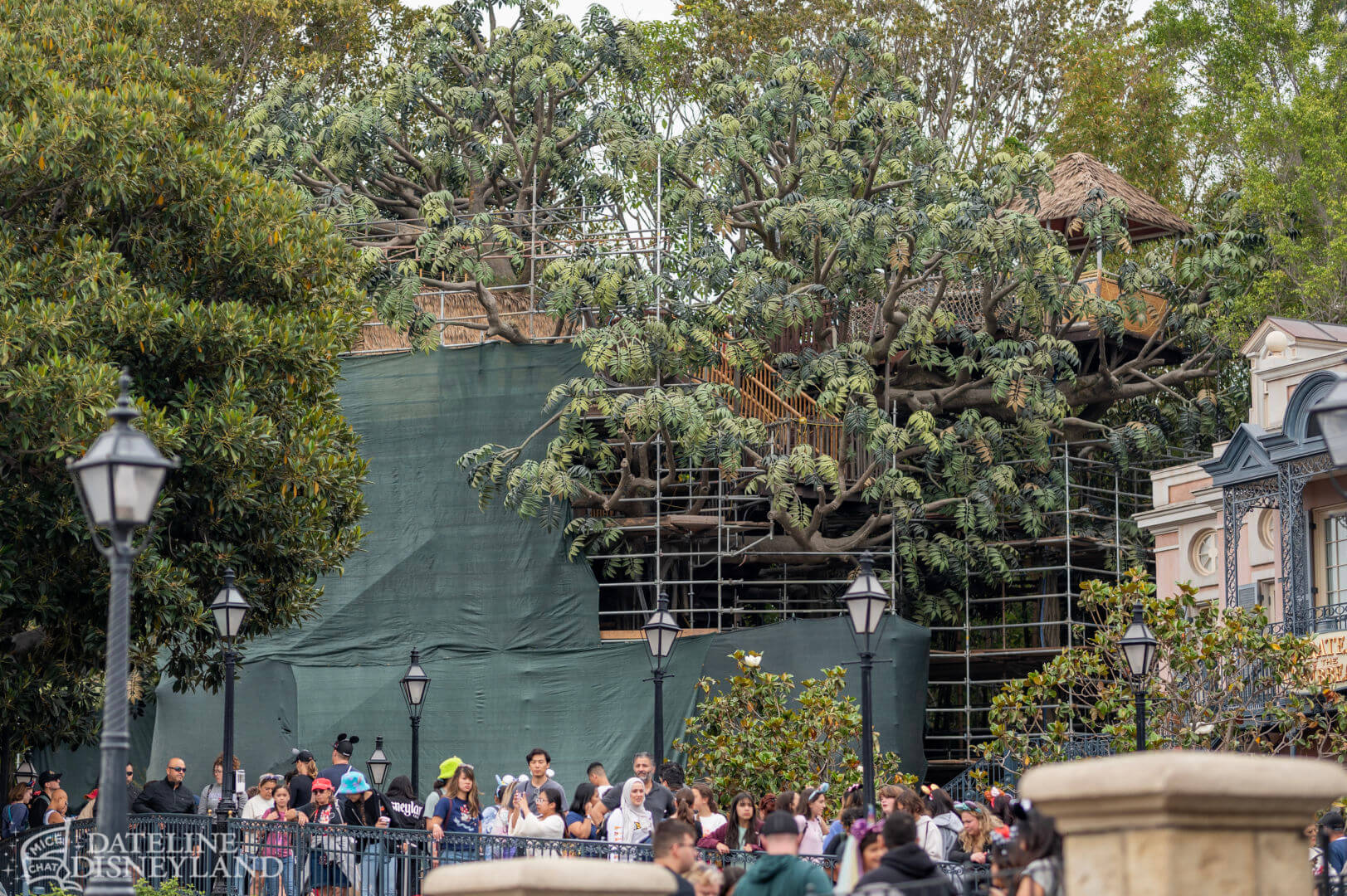 , Disneyland Update: Toot-Toot, Groot, Splish & Splash!