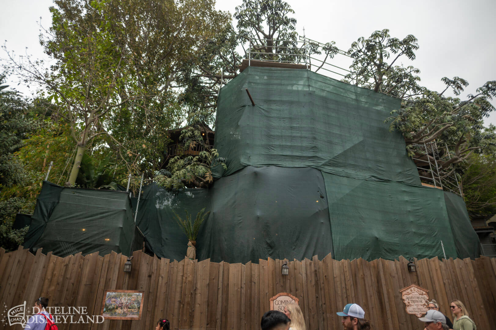 , Disneyland Update: Toot-Toot, Groot, Splish & Splash!