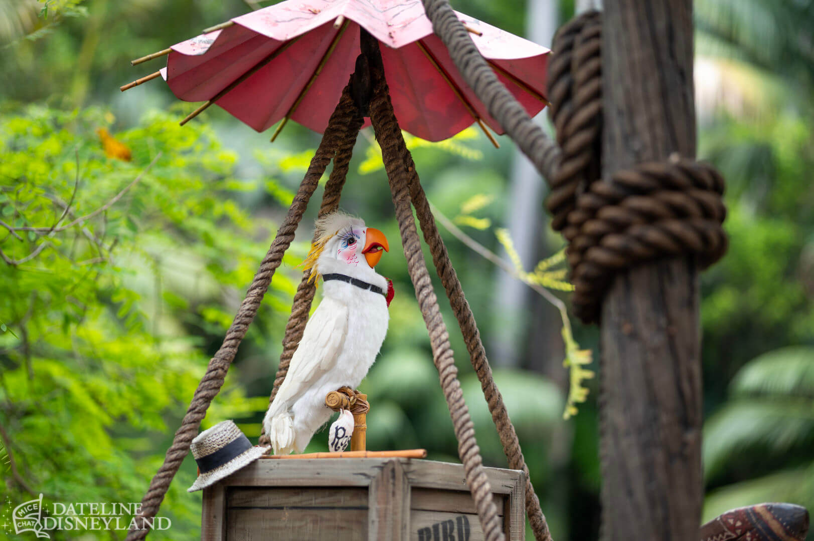 , DISNEYLAND UPDATE: Pirates Unplugged, Leota’s Legacy & Bubble Bonanza