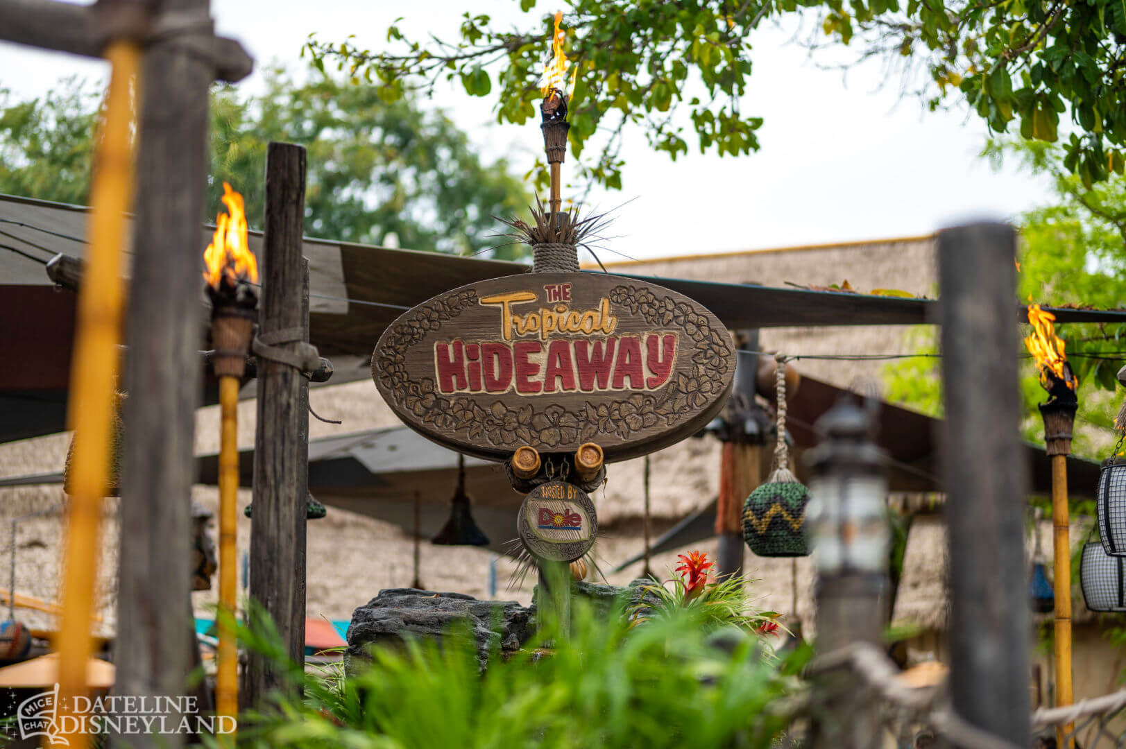 , Disneyland Update: Toot-Toot, Groot, Splish & Splash!