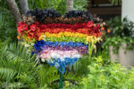 Disneyland Hotel PRIDE Floral DSC_6880-X5
