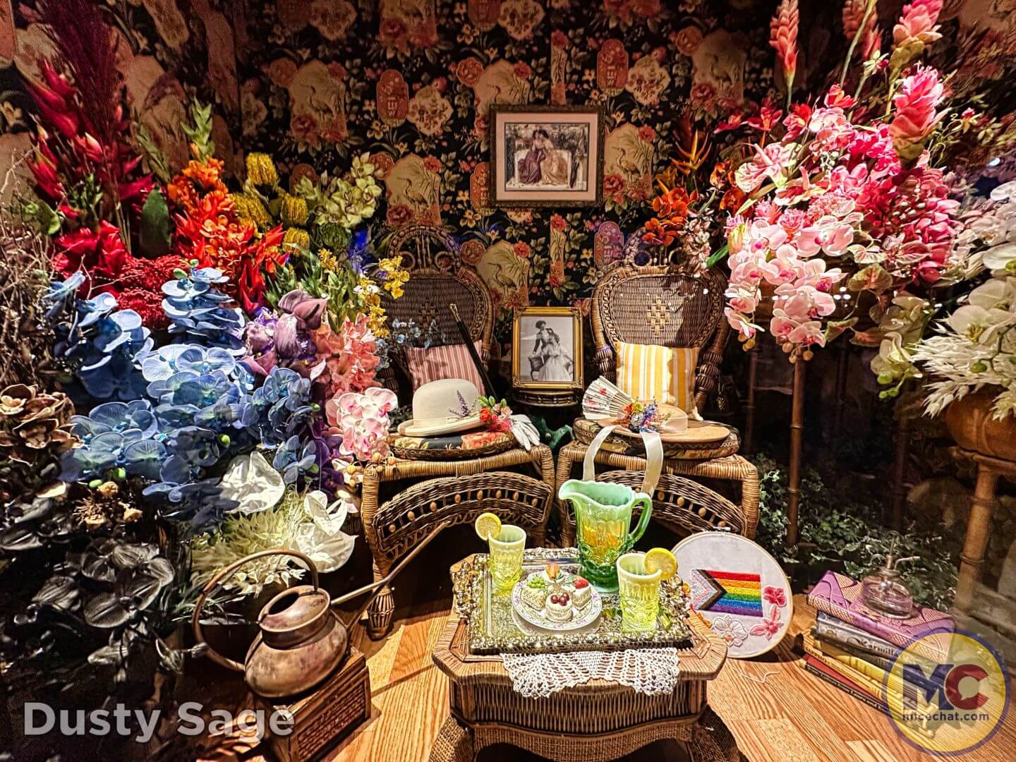 , Disneyland Update – Secret Test, Adventureland Mess, Splash at Rest