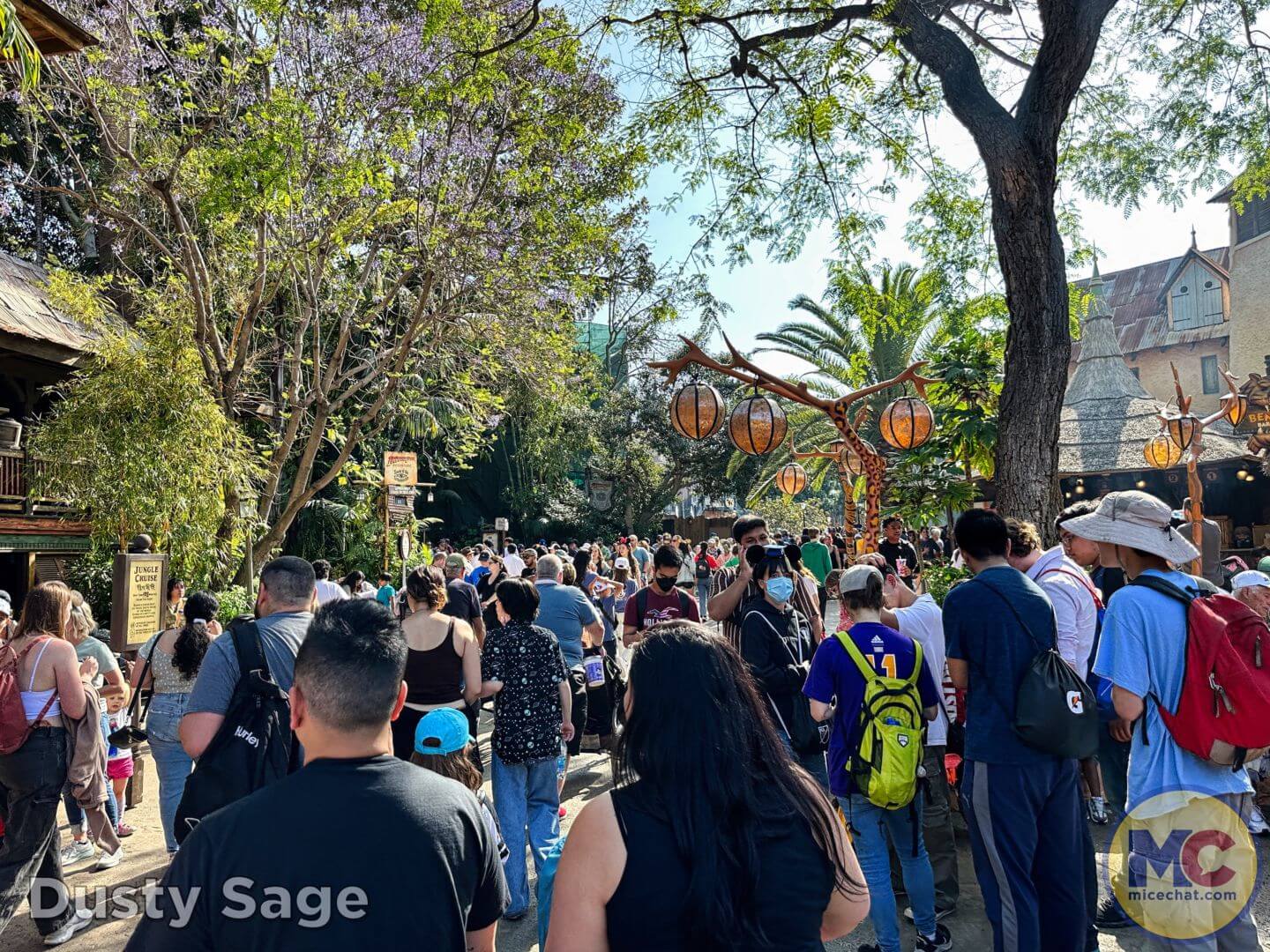 , Disneyland Update – Secret Test, Adventureland Mess, Splash at Rest