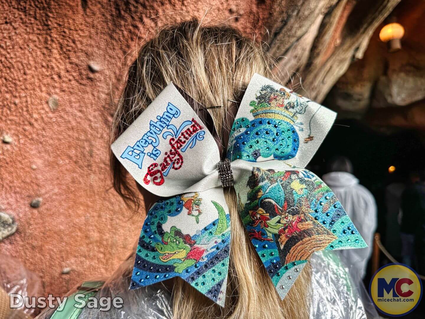 , Disneyland Update – Secret Test, Adventureland Mess, Splash at Rest