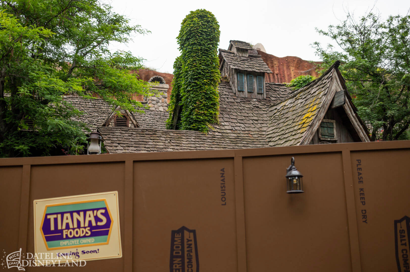 , Disneyland Update: Toot-Toot, Groot, Splish & Splash!