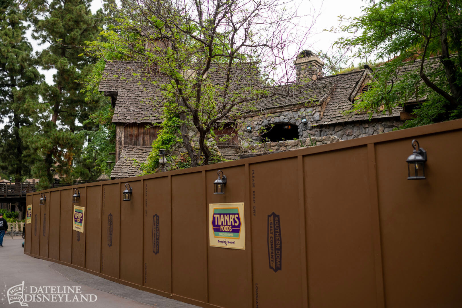 , Disneyland Update: Toot-Toot, Groot, Splish & Splash!