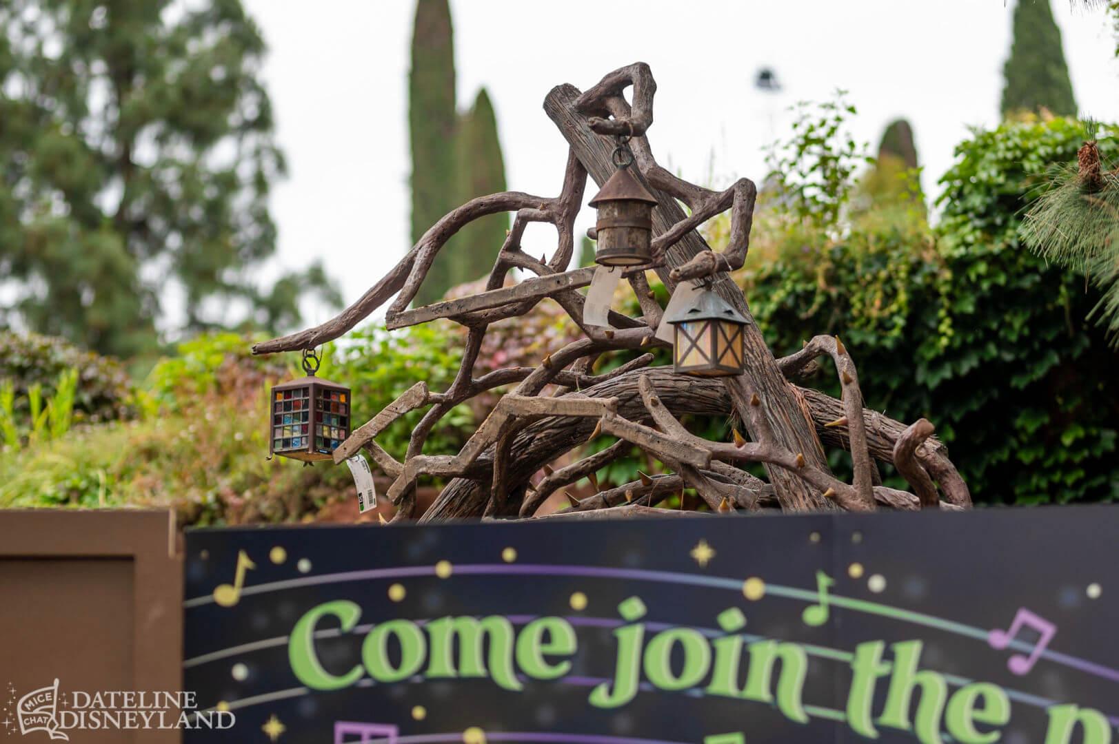 , Disneyland Update: Toot-Toot, Groot, Splish & Splash!