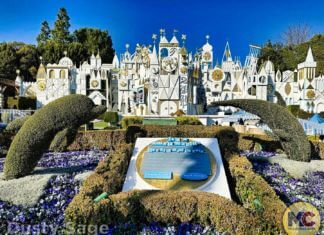 MiceShots: It’s a Small World After All