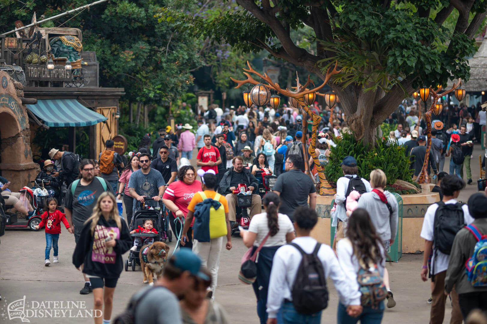 , Disneyland Update: Toot-Toot, Groot, Splish & Splash!