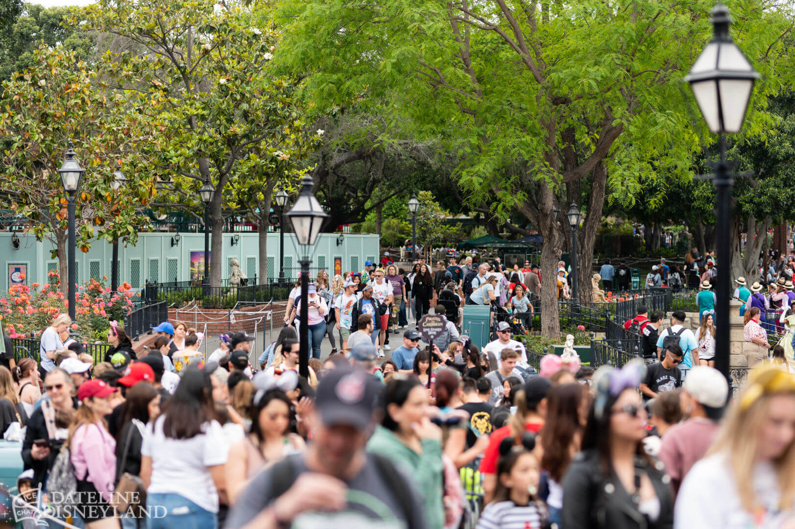 , Disneyland Update: Toot-Toot, Groot, Splish & Splash!
