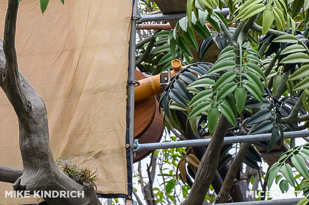 , Disneyland Update: Summertime Sizzle, Sass & Surprise!