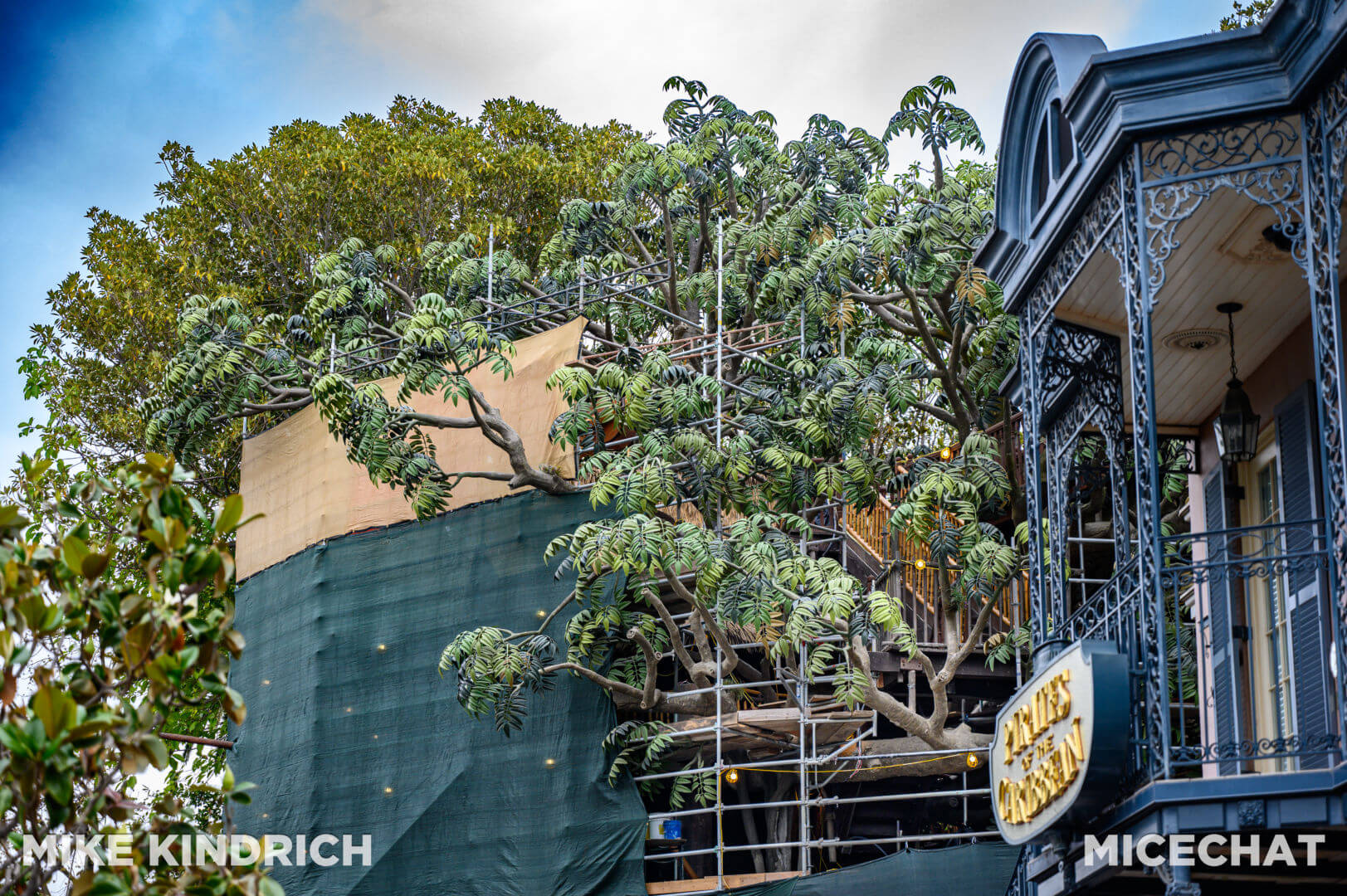 , Disneyland Update: Summertime Sizzle, Sass & Surprise!