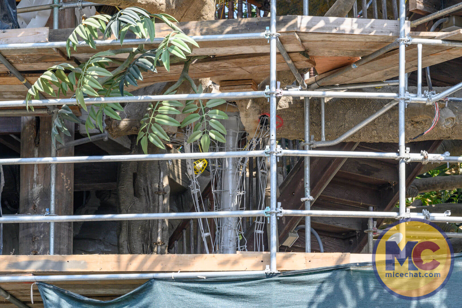 , Disneyland Update &#8211; Secret Test, Adventureland Mess, Splash at Rest