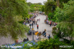 Disneyland_Fantasyland_Parade Route (1 of 1)