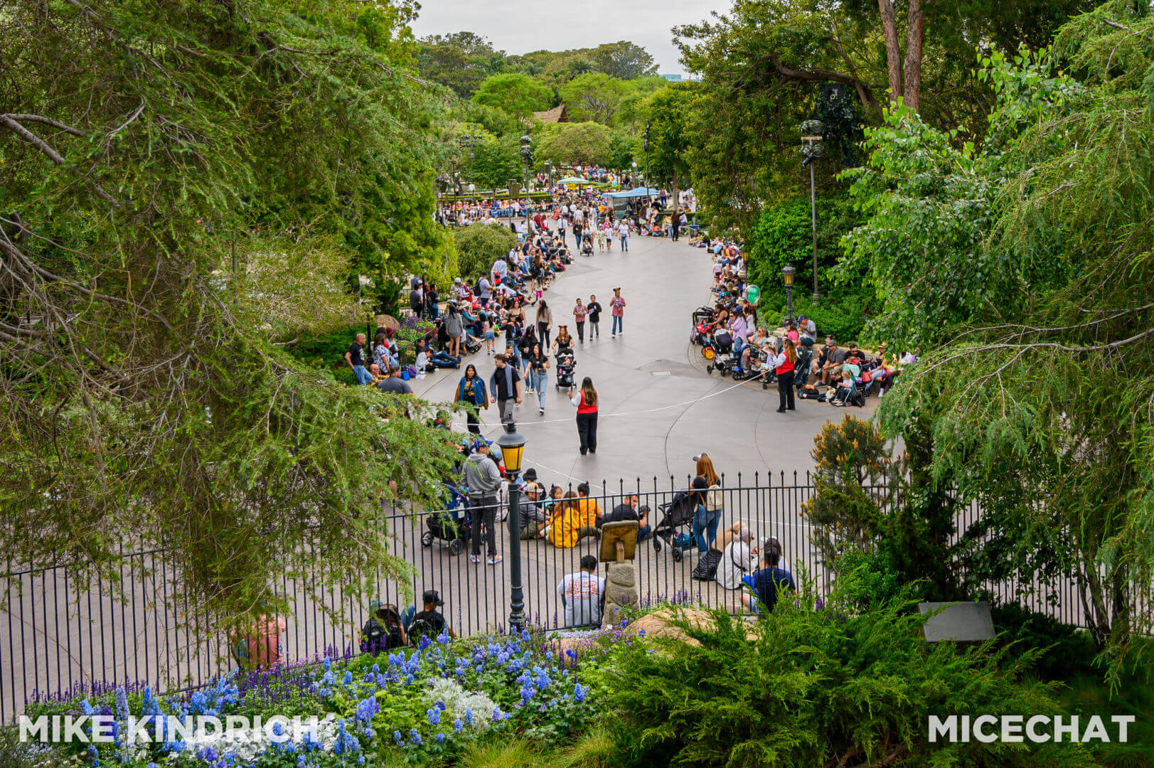 , Disneyland Update: Summertime Sizzle, Sass & Surprise!