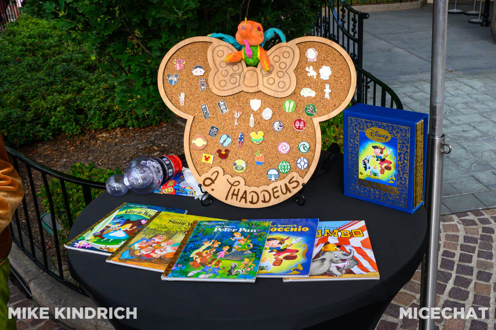 , Disneyland Update: Toot-Toot, Groot, Splish & Splash!
