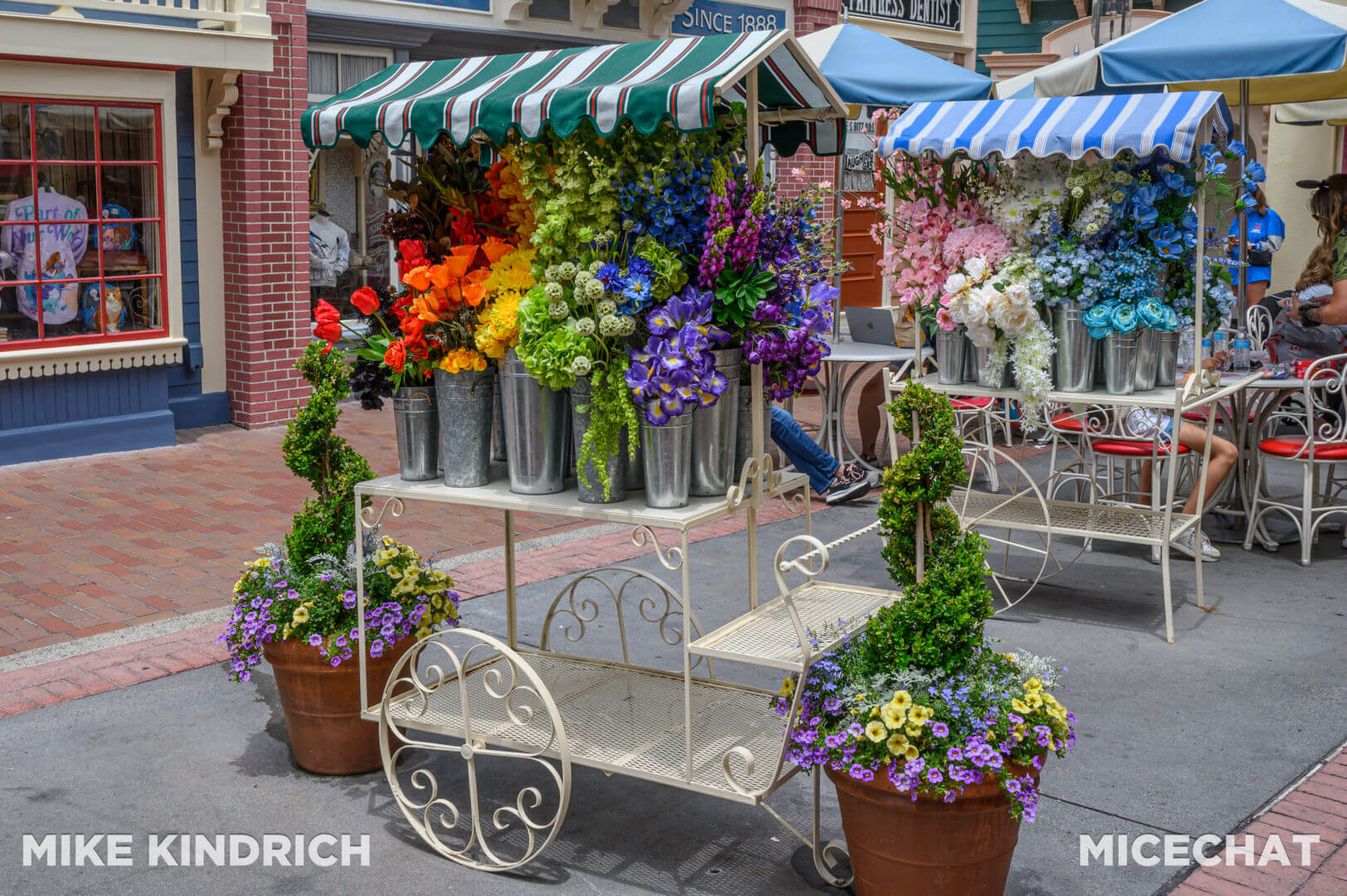, Disneyland Update – Secret Test, Adventureland Mess, Splash at Rest