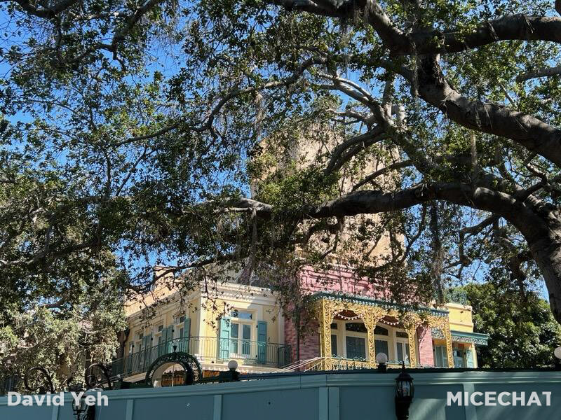 , Disneyland Update: Summertime Sizzle, Sass & Surprise!