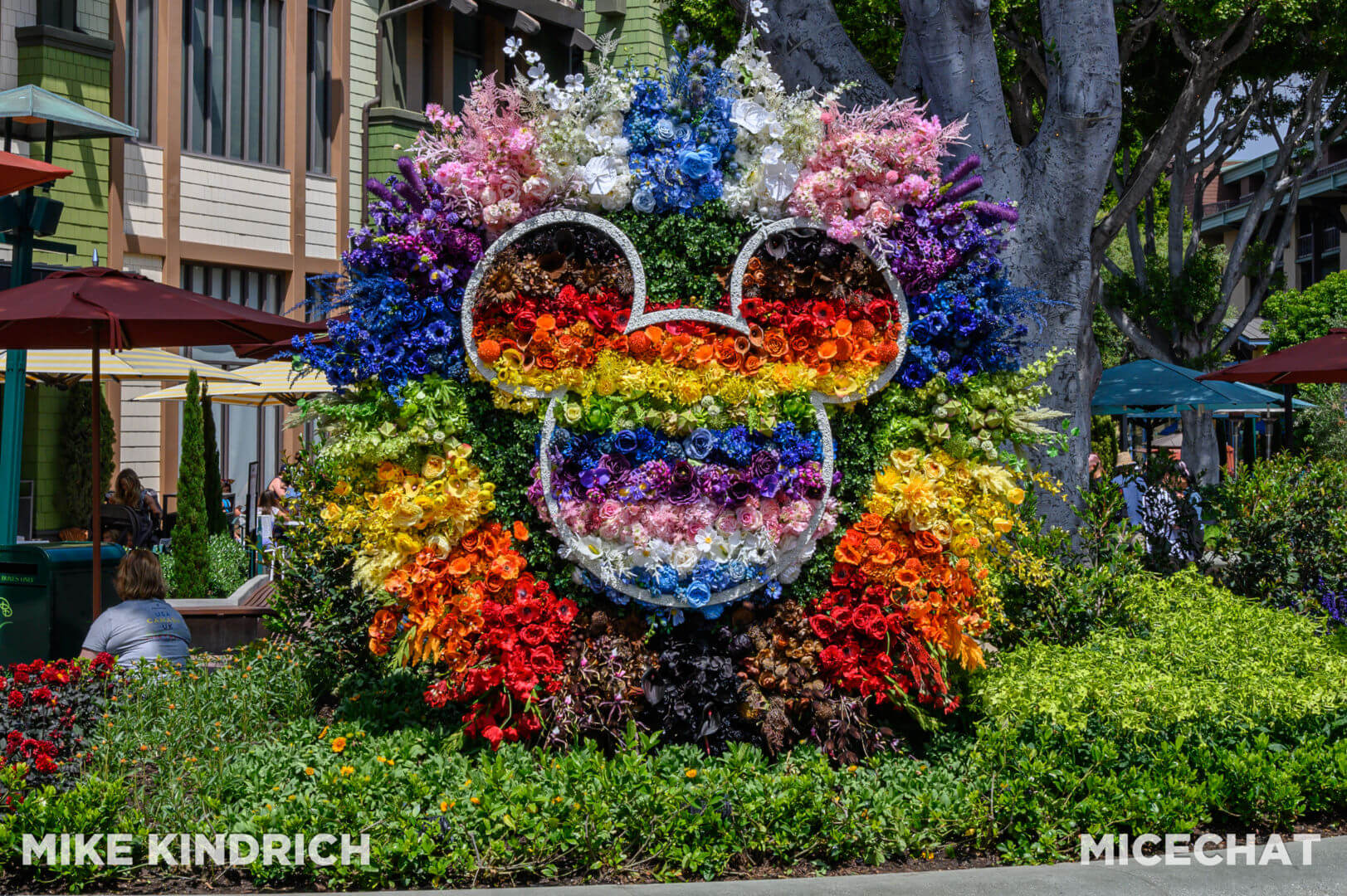 , Disneyland Update – Secret Test, Adventureland Mess, Splash at Rest