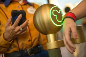 , Remote Control: Disney World vs Their Own Customers