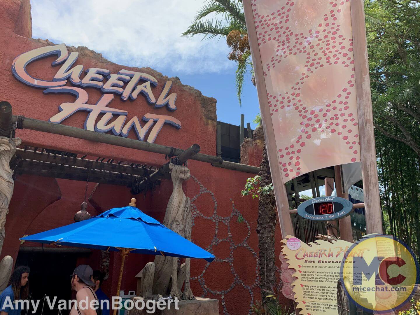 , Summer Nights Roar at Busch Gardens Tampa!