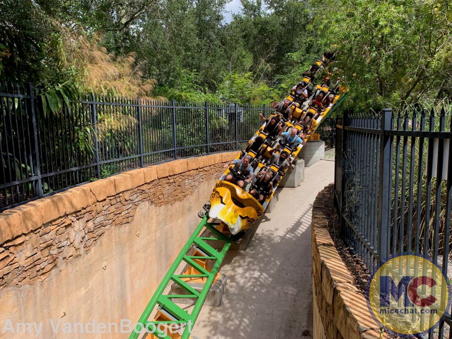 , Summer Nights Roar at Busch Gardens Tampa!