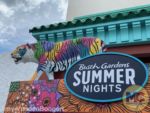 busch gardens tampa summer nights