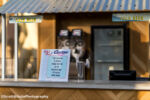 010_Knott’s Berry Farm_Beach Hut