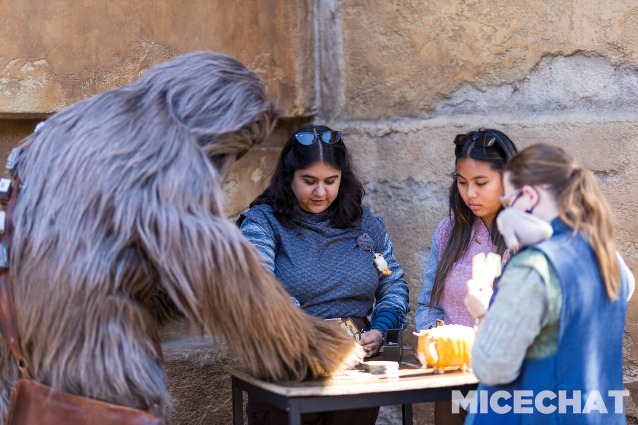 Disneyland Update summer crowd, Disneyland Update: Summer Crowd Collapse, Haunted Happenings & Another Year Older!