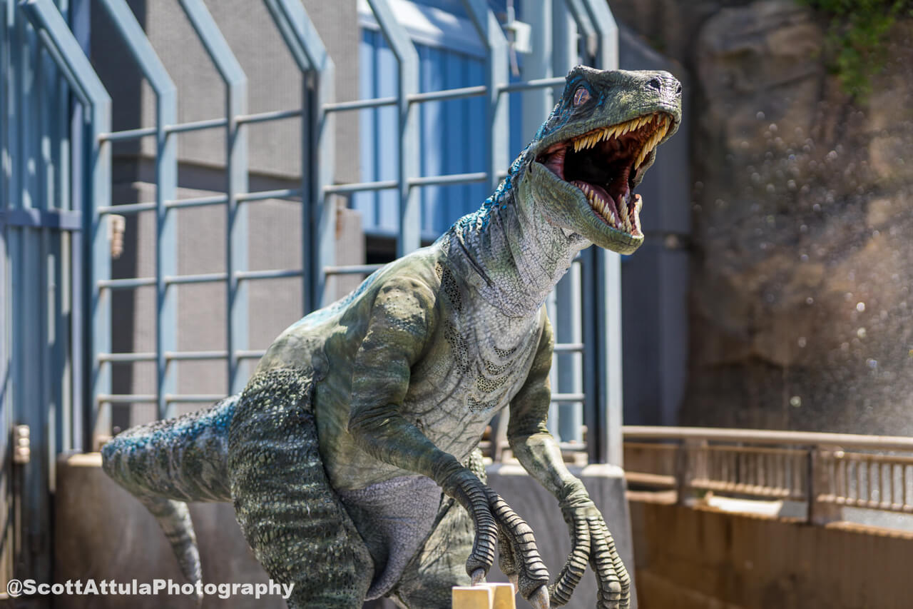 universal studios hollywood, Universal Studios Hollywood Update – New Ride Announcement, Summer Scares, Huge Crowds!