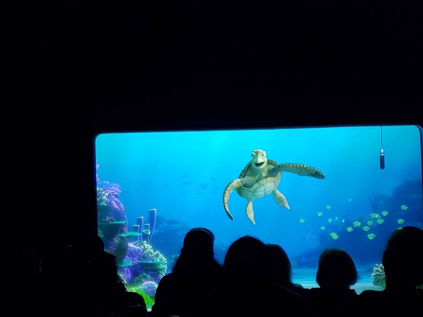 Disneyland Cool Spots, MiceShots: Disneyland’s Coolest Spots On A Hot Summer Day