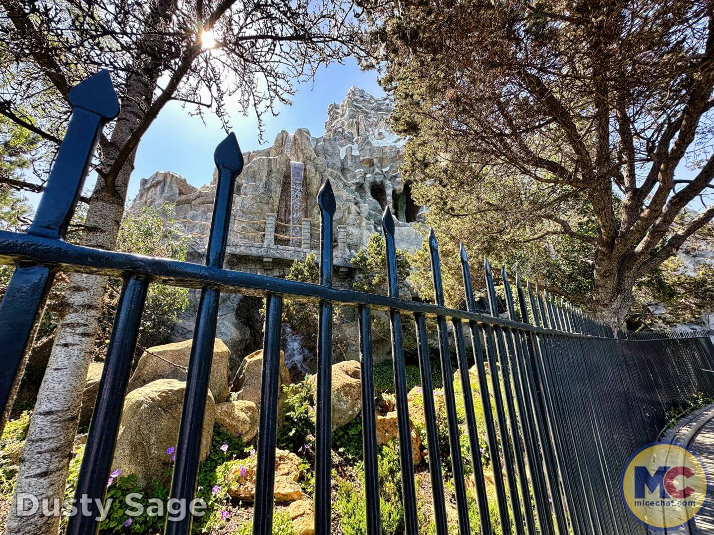 Disneyland Update summer crowd, Disneyland Update: Summer Crowd Collapse, Haunted Happenings & Another Year Older!