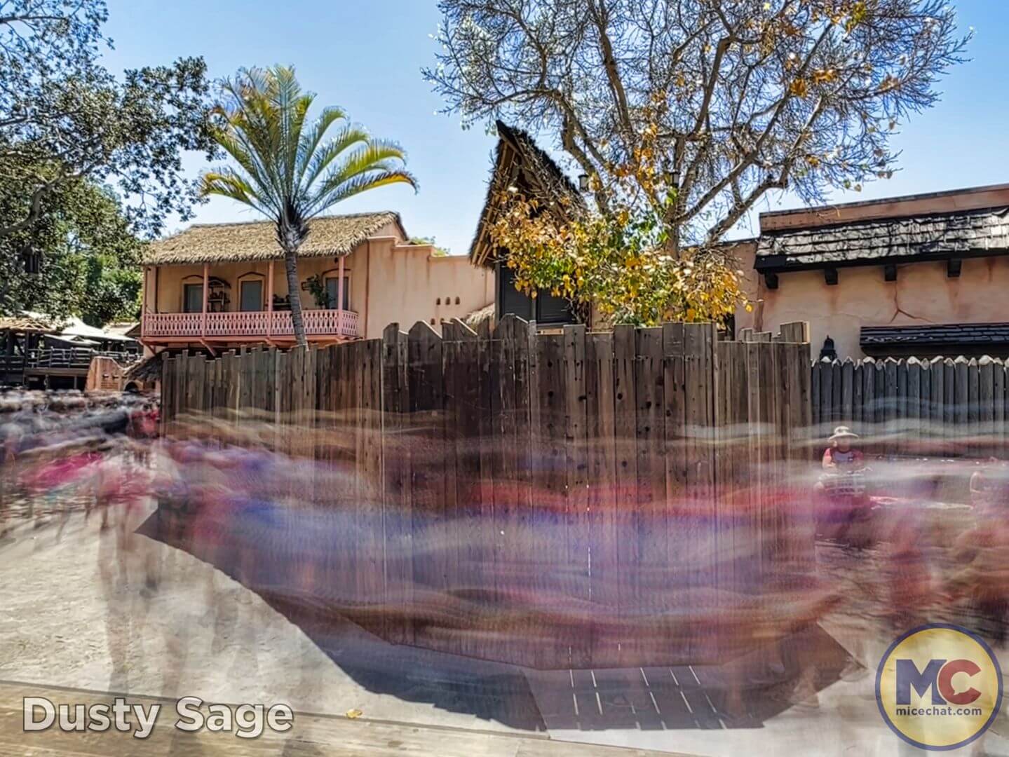 Disneyland Update summer crowd, Disneyland Update: Summer Crowd Collapse, Haunted Happenings & Another Year Older!
