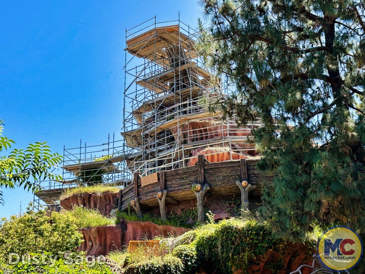 Disneyland Update summer crowd, Disneyland Update: Summer Crowd Collapse, Haunted Happenings & Another Year Older!