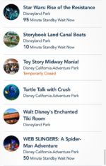Disneyland News Crowds Sunday 12