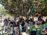 Disneyland News Crowds Teacups MiceChat
