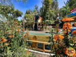 Disneyland News ToonTown Beauty Goofys House MiceChat