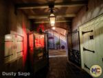 Disneyland News beauty 21 Royal courtyard night fortune red MiceChat