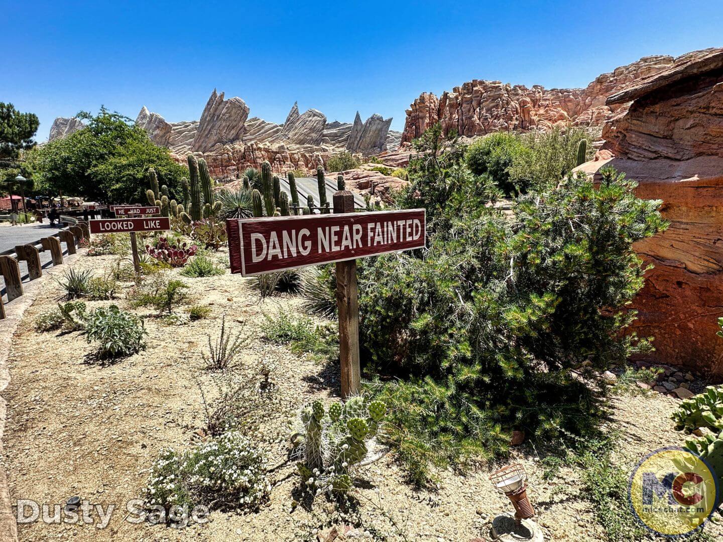 Disneyland Update summer crowd, Disneyland Update: Summer Crowd Collapse, Haunted Happenings & Another Year Older!