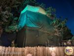 Disneyland News construction adventureland treehouse night 2 MiceChat