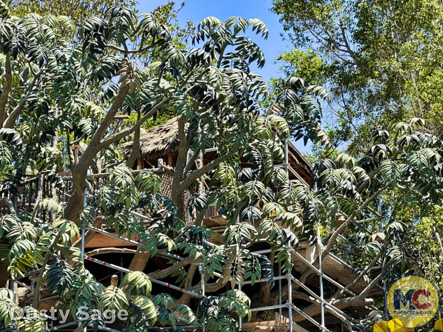Disneyland Update summer crowd, Disneyland Update: Summer Crowd Collapse, Haunted Happenings & Another Year Older!