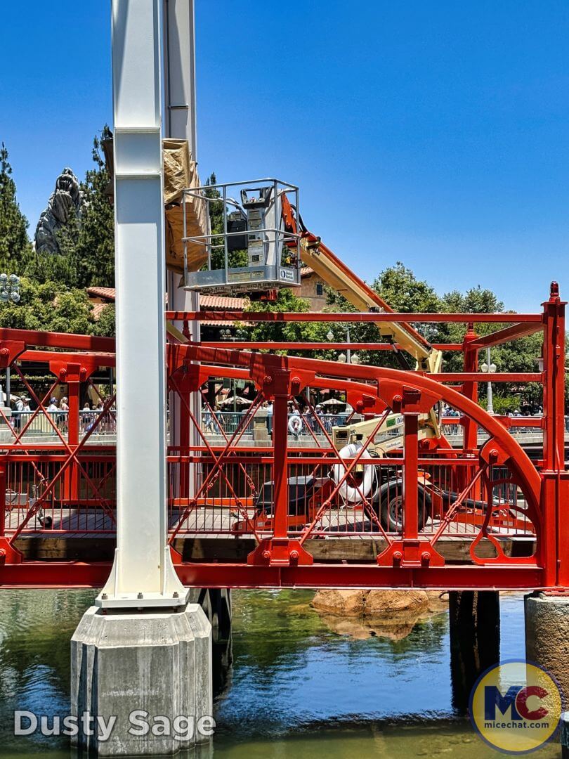 Disneyland Update summer crowd, Disneyland Update: Summer Crowd Collapse, Haunted Happenings & Another Year Older!