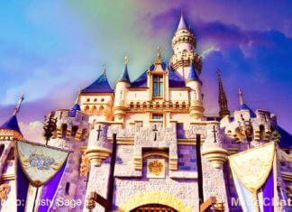 Be Well Be You – Sunrise Yoga At Disneyland