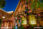 Disneyland_Adventureland_Tiki Room_Night_Mike Kindrich (1 of 1)