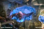 Disneyland_Fantasyland_Matterhorn (1 of 1)-2