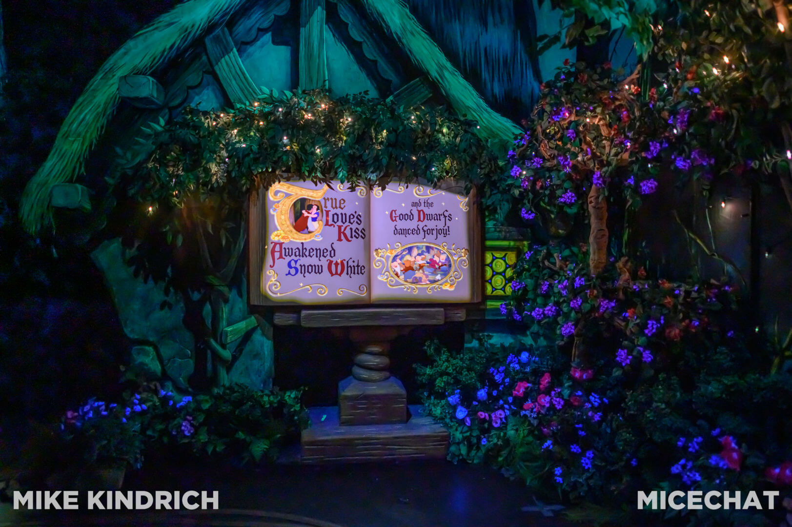 Snow White's Enchanted Wish, MiceShots: A Journey Into Snow White’s Enchanted Wish