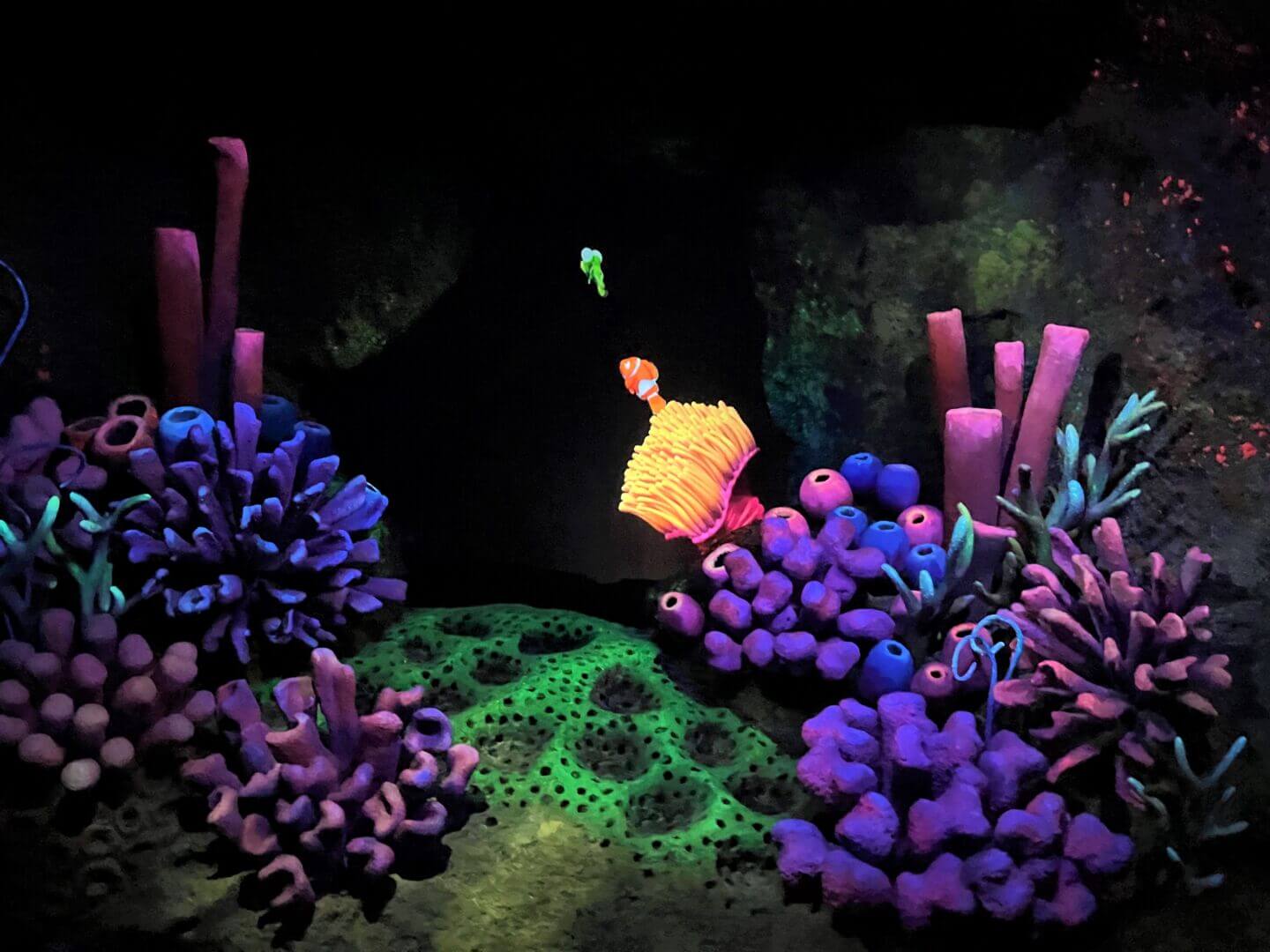 The Seas with Nemo & Friends Disney World